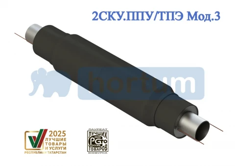 2СКУ.ППУ/ТПЭ Мод.3
